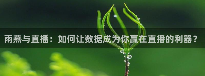 蓝鲸鱼直播app：雨燕与直播：如何让数据成为你赢在直播的利器？