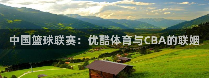 蓝鲸体育在线直播：中国篮球联赛：优酷体育与CBA的联姻