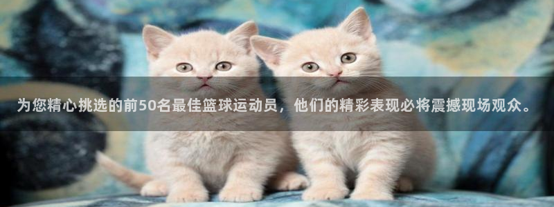 蓝鲸体育直播入口：为您精心挑选的前50名最佳篮球运动员，他们的精彩表现必将震撼现场观众。