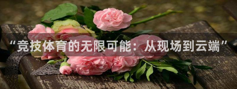 蓝鲸nba直播：“竞技体育的无限可能：从现场到云端”