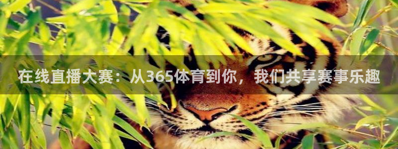 蓝鲸体育免费观看：在线直播大赛：从365体育到你，我们共享赛事乐趣