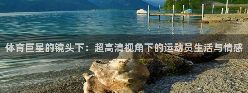 蓝鲸体育足球直播在线观看：体育巨星的镜头下：超高清视角下的运动员生活与情感