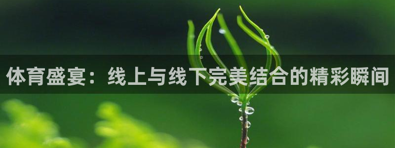 蓝鲸直播下载安装：体育盛宴：线上与线下完美结合的精彩瞬间