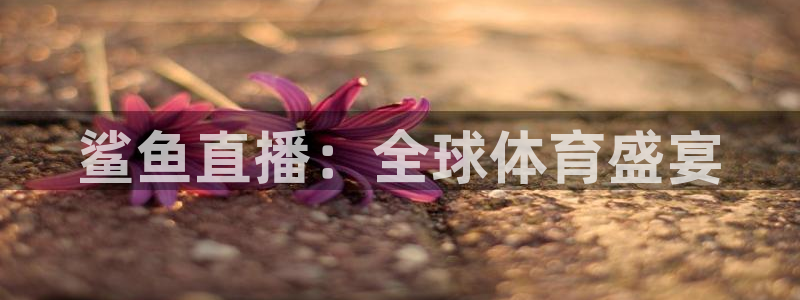 蓝鲸体育网球直播在线观看：鲨鱼直播：全球体育盛宴