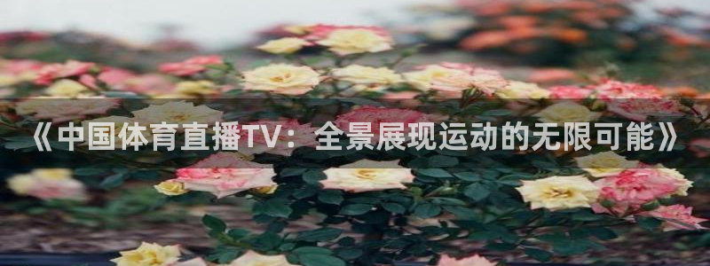 蓝鲸直播app下载：《中国体育直播TV：全景展现运动的无限可能》